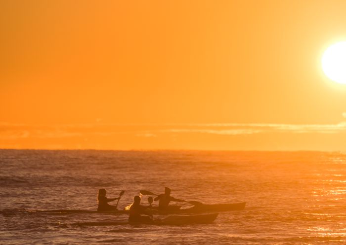 People kayaking at sunrise, Manly