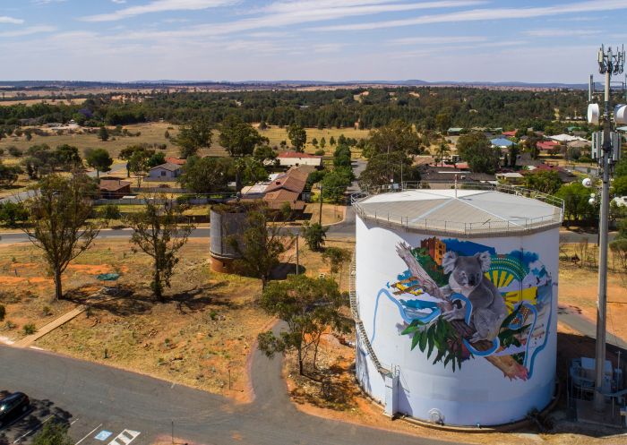 The Koala mural at the Narrandera Water Tower Art Trail, Narrandera