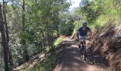 A cyclist riding on the Hornsby Mountain Bike Trail, in northern Sydney 