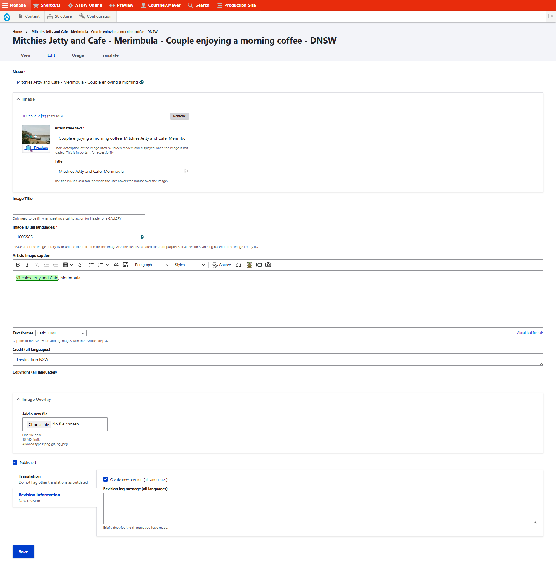 Naming backend of DNSW image