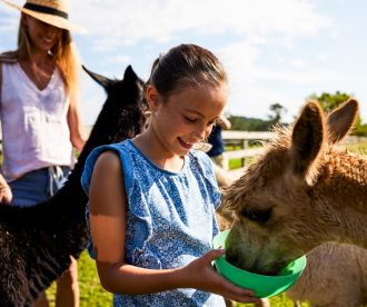 Iris Lodge Alpacas, Jillilby