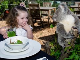 Wild Life Sydney, Australian animal adventure at Darling Harbour WILD LIFE Sydney Zoo