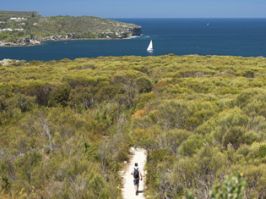 Manly to Spit Bridge walk, Sydney Harbour National Park. Manly to Spit Bridge walk, Sydney