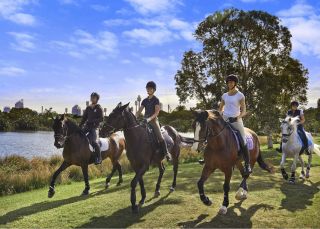Horse riding in Centennial Park, Sydney