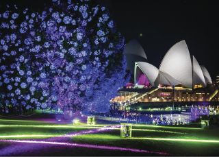 皇家植物園的電動花園裝置亮起 2016年繽紛悉尼燈光音樂節節