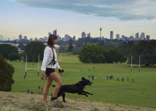 Mount Steel in Moore Park, Sydney