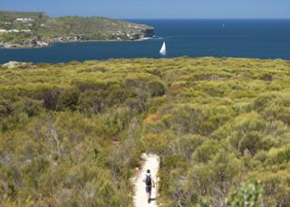 Manly to Spit Bridge walk, Sydney