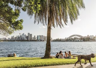 People enjoying the views of Sydney Harbour as a dog walks past, Sydney harbour