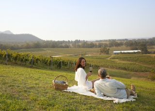 Wine picnic next to the vineyard - Audrey Wilkinson - Pokolbin - Hunter Valley 