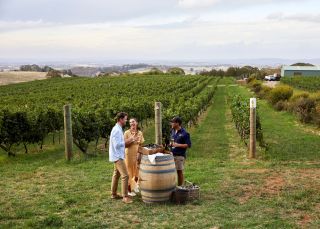 Couple enjoying Swift Sparkling Wine and oysters with scenic views across Printhie Wines vineyard in Molong, near Orange