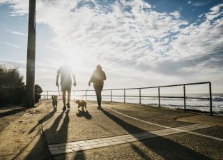 Locals enjoying a morning walk at South Cronulla Beach, Cronulla