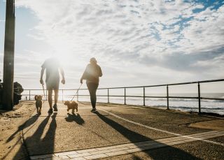 Locals enjoying a morning walk at South Cronulla Beach, Cronulla