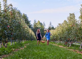 Young girls enjoying a day of apple picking at Shields Orchard, Bilpin