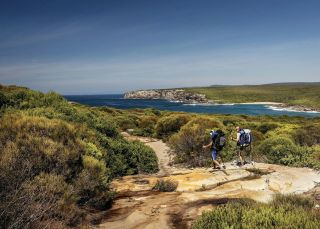 The Coast track, Royal National Park, Bundeena - Credit: David Finnegan | DPIE