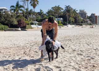 Man enjoying a day at the beach with his dog, Rose Bay Dog Beach, Rose Bay