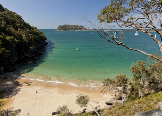 Resolute Beach, Ku-Ring-Gai Chase National Park - Credit: Andrew Gregory