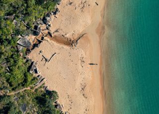 庫靈蓋蔡司國家公園（Ku-ring-gai Chase National Park）雷索盧特海灘 - 圖片來源：安德魯格雷戈里