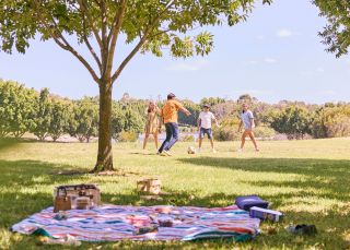 Bicentennial Park, Homebush