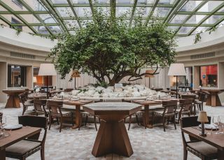 Olympus Dining - Credit: Nikki To