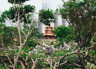 Garden surrounds, Chinese Garden of Friendship, Darling Harbour 