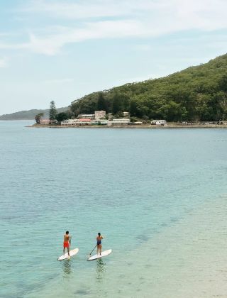 Paddle boarders at Shoal Bay, Port Stephens