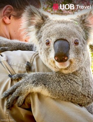 Best of Sydney with Taronga Zoo stay 