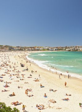 Bondi Beach in Summer, Sydney East