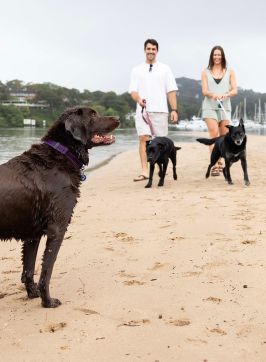 Couple walking their dogs on the beach at Bayview Dog Park, Bayview