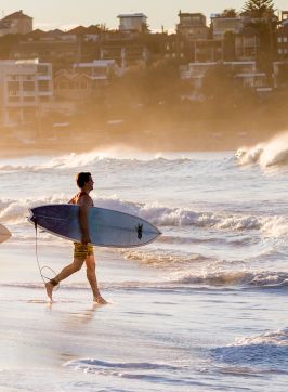 Surfers heading for a morning surf, Bondi Beach, Sydney