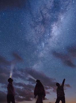 Palm Beach Headland Urban Night Sky Place