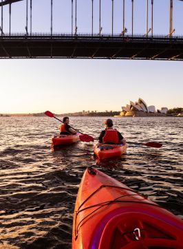 Sydney Kayak Experience