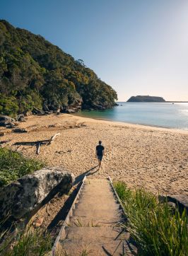Resolute Beach, Ku-ring-gai Chase National Park