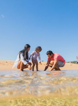 Mona Vale Rockpool, Mona Vale