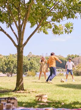 Bicentennial Park, Homebush