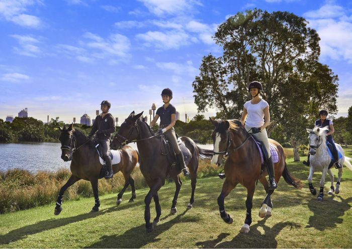 Horse riding in Centennial Park, Sydney