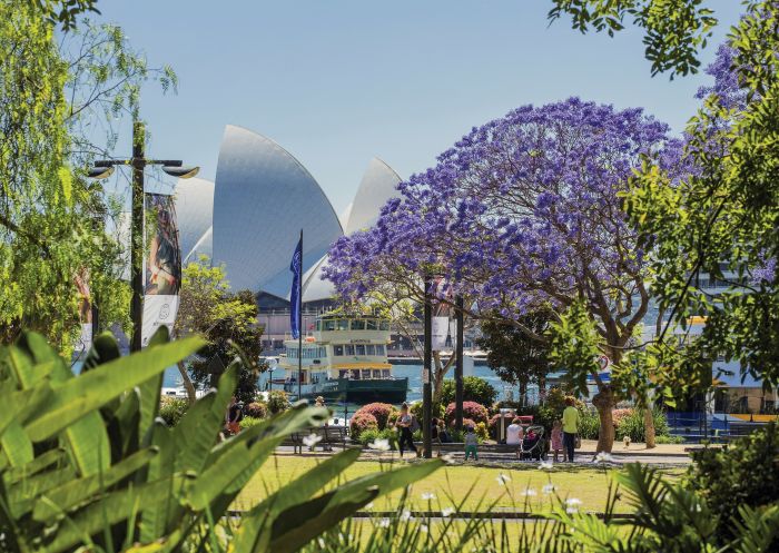 A pretty park on the waters edge at Circular Quay, Sydney