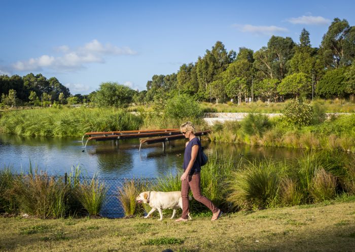 Woman walking her dog by the picturesque wetlands located in the award-winning Sydney Park, St Peters