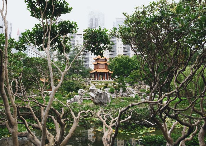 The peaceful and scenic grounds of the Chinese Garden of Friendship in Chinatown, Darling Harbour 