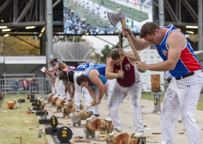 Men competing in the woodchopping competition at the 2019 Sydney Royal Easter Show, Sydney Showground at Sydney Olympic Park
