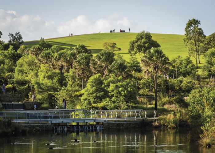 Parkland wetlands, Sydney Park, St Peters