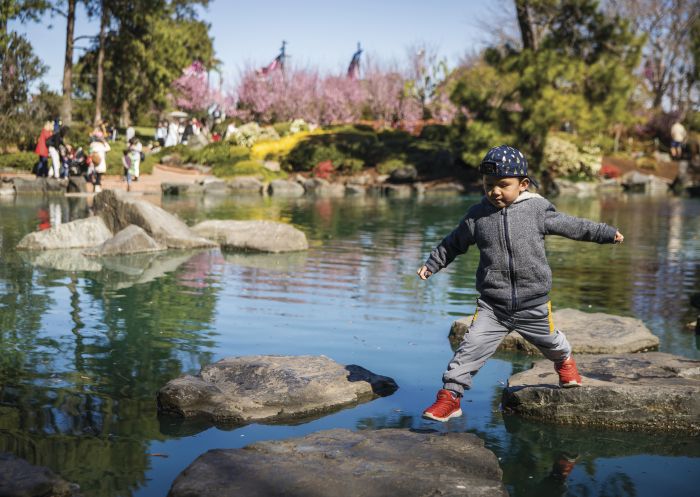 Cherry Blossom Festival at Botanic Gardens, Auburn