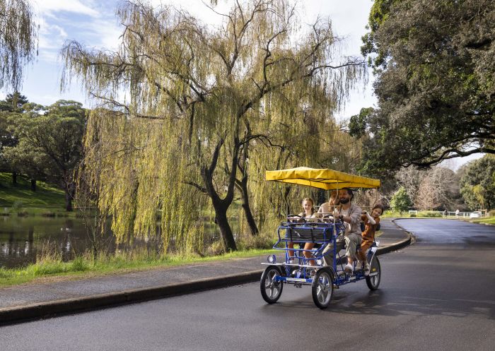 Nows The Time To Love NSW, Centennial Park Cycles, Centennial Parklands, Sydney