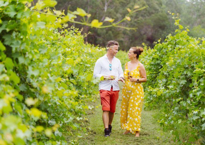 Jubilee Vineyard - Ebenezer