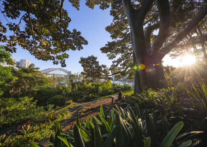 Woman enjoying the serenity in Wendy Whiteley's Secret Garden in Lavender Bay, North Sydney