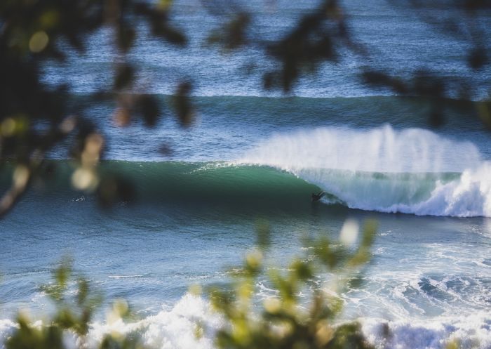 Avalon Beach - Sydney's Northern Beaches