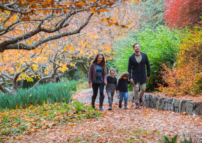 Family enjoying a visit to the Blue Mountains Botanic Garden in Mount Tomah, Blue Mountains