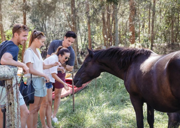 Friends enjoying a day out at Glenworth Valley on the Central Coast