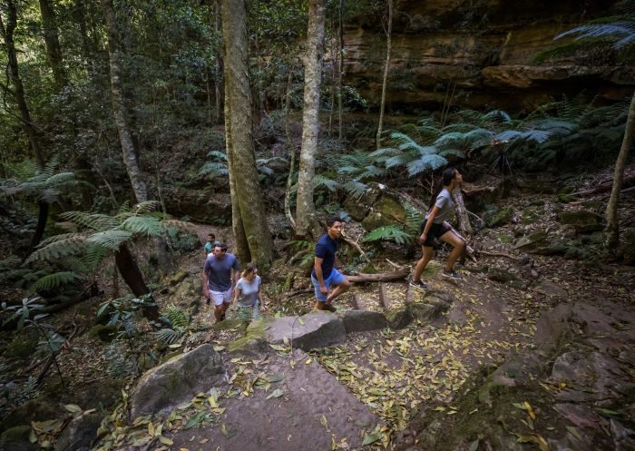 Friends enjoying a scenic walk along the Grand Canyon Walking Track in Blackheath, Blue Mountains