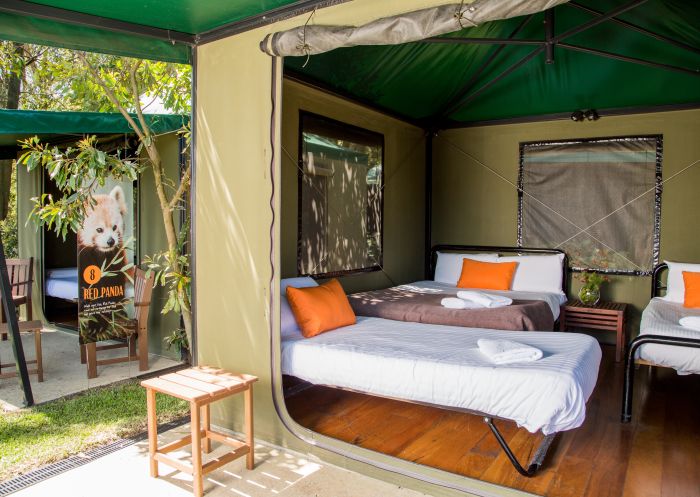 Family tent at Taronga Zoo's 'Roar and Snore' in Mosman, Sydney North