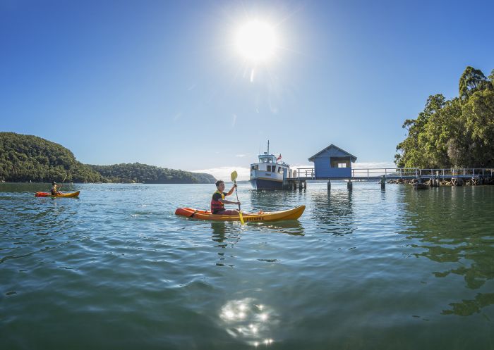 Friends kayaking on Pittwater at Bennets Wharf, Coasters Retreat